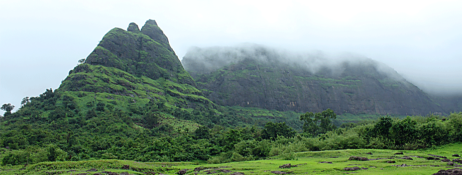 prbhalgad